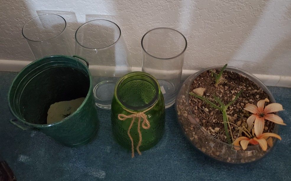 5 Vases & A Terrarium