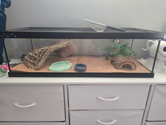 Reptile tank