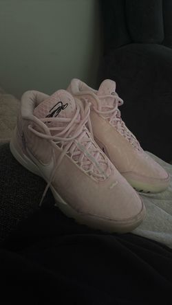 Lebron Nike