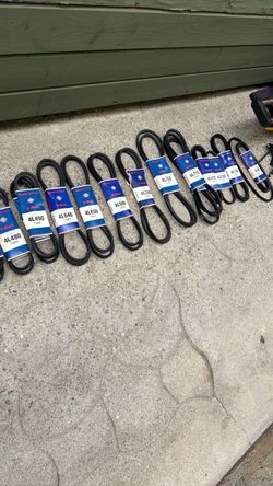 Master mechanic V-belt