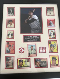Ted Williams Collage 