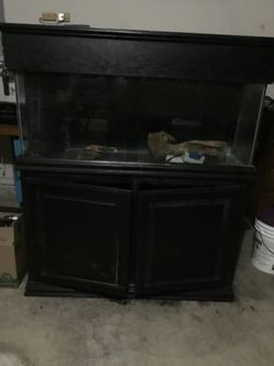 Fish tank