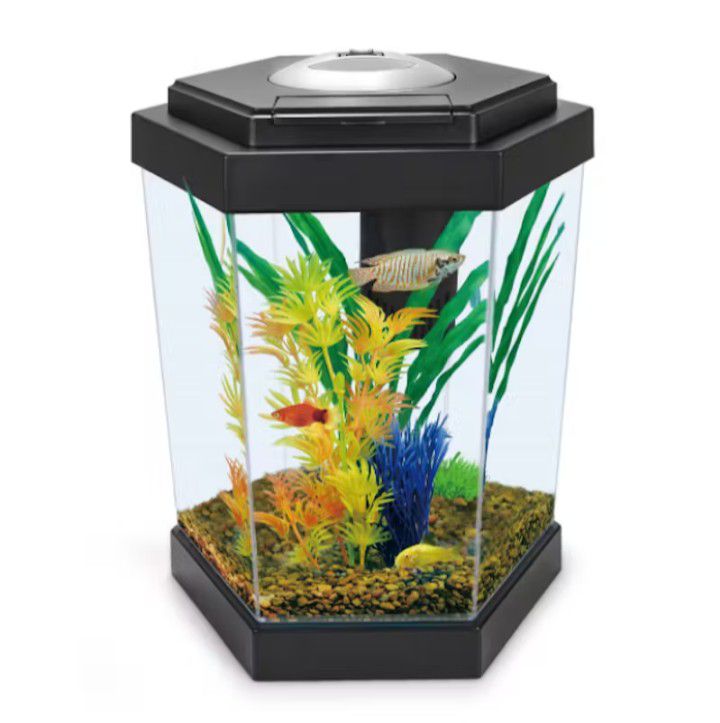 Fish Tank, Aquarium