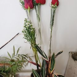 GORGEOUS roses SINGLE STEM , long Glass Bud Vase