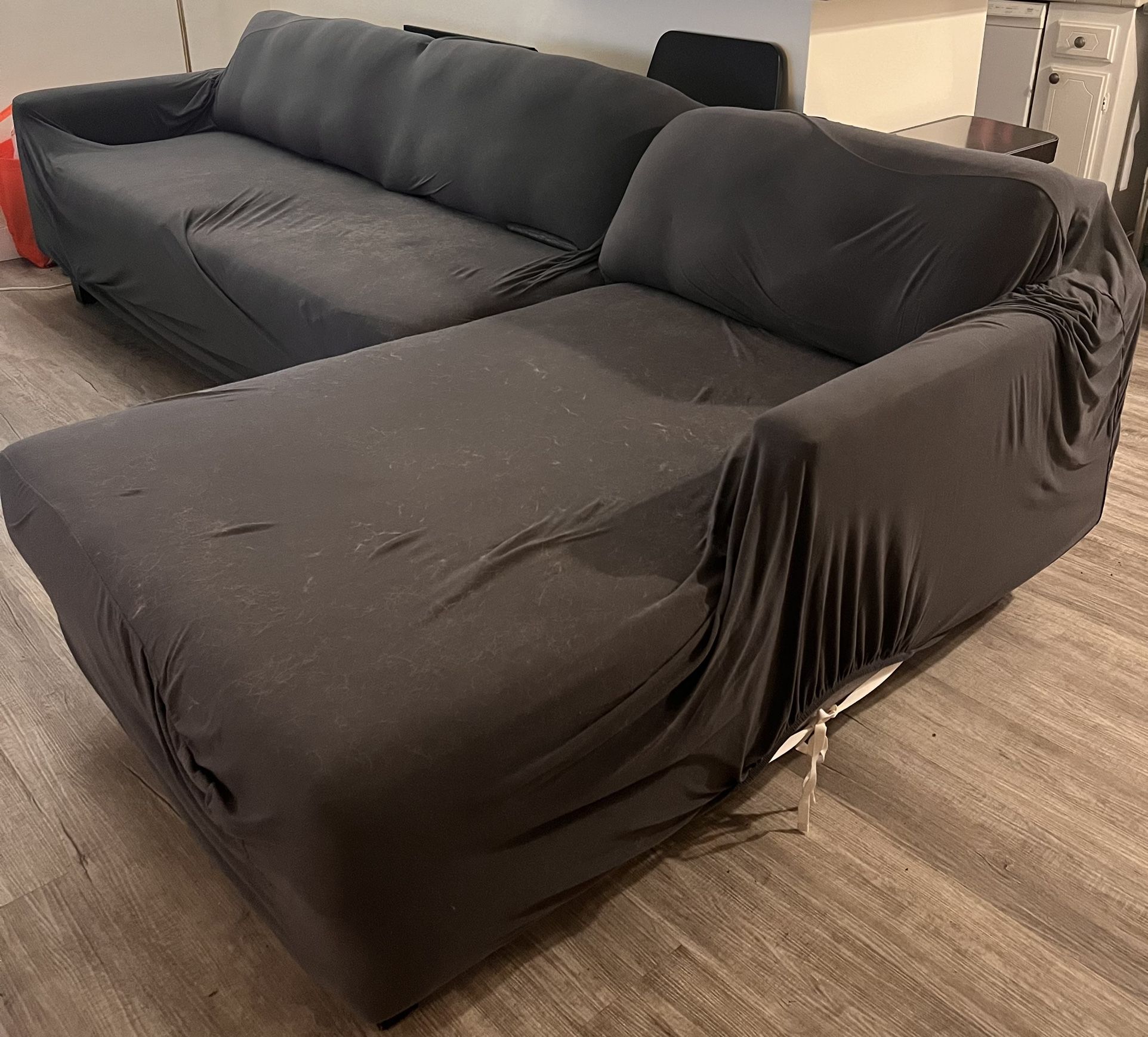 Sectional Couch