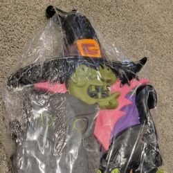 17 Piece Witchy Halloween Outdoor Set