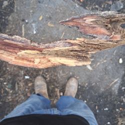 The Problem Solver!!!!! Stop struggling with your fireplace! 🔥