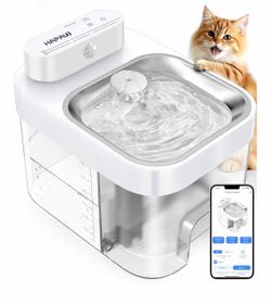 Automatic Water fountain and Feeder