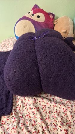 Conforter with 2 pillow shams& sheets 2 pillow cases