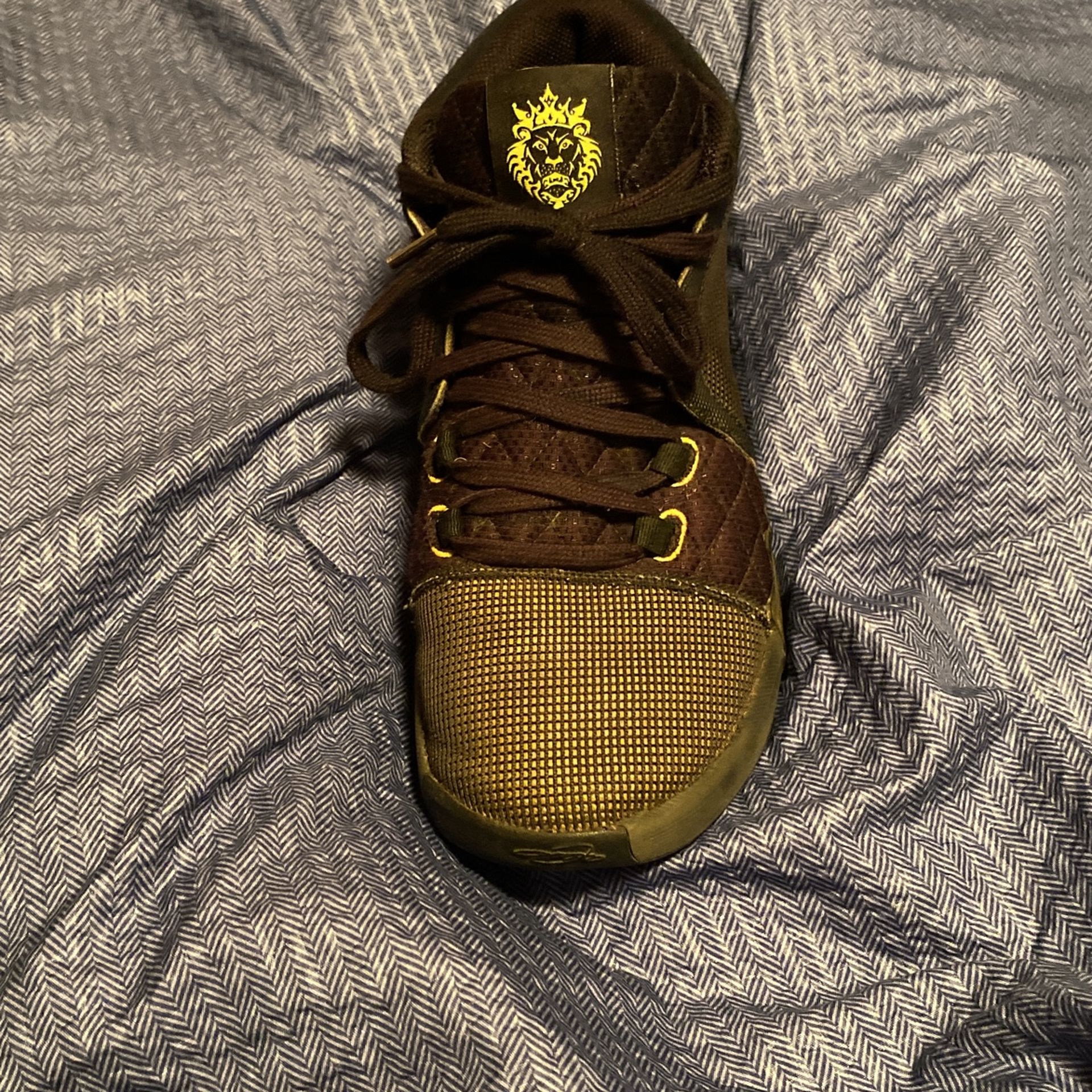 LeBron Nike