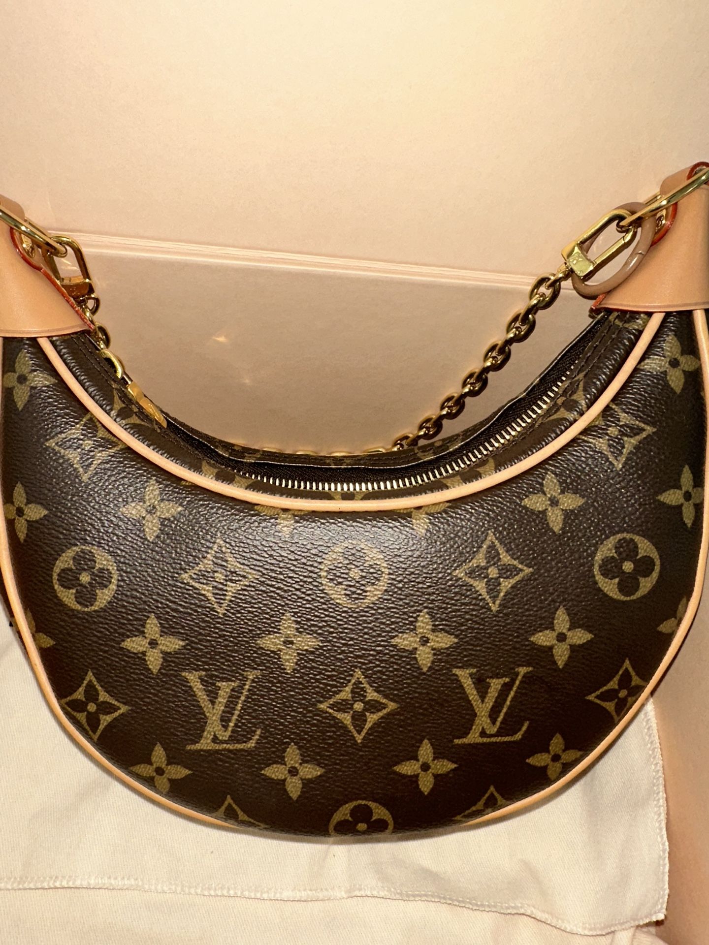 Louis Vuitton Moon Bag