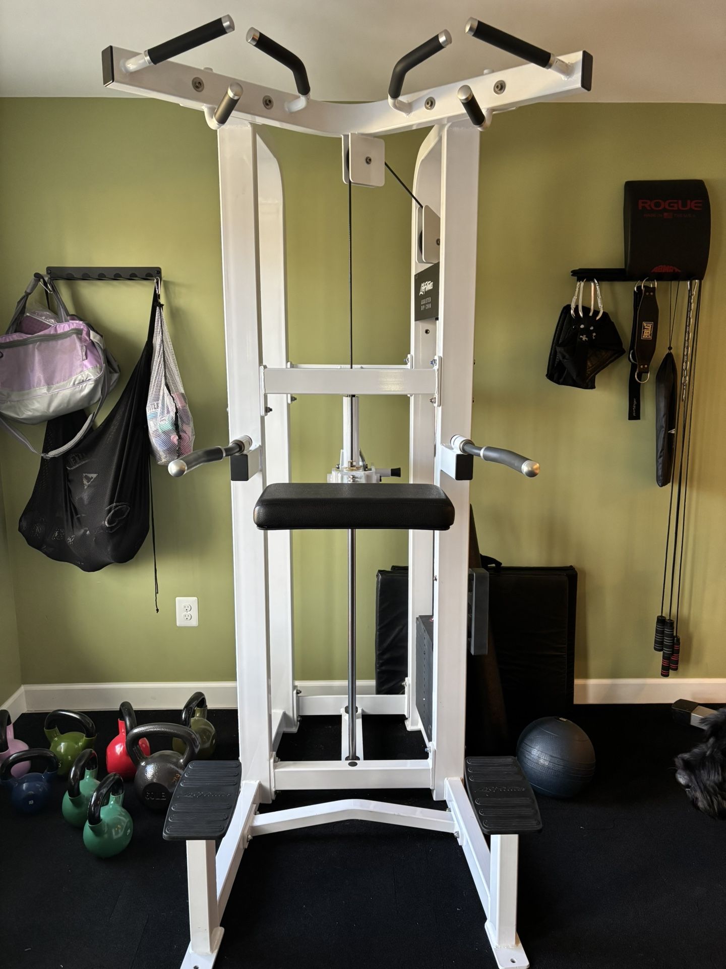 Life Fitness Dip/chin Assist Pro In White