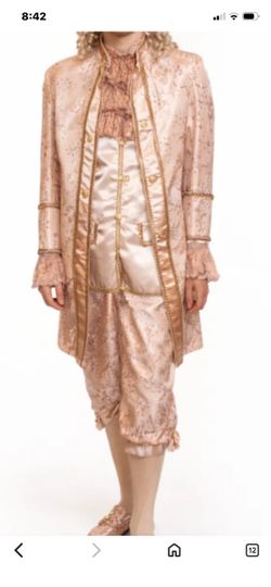 Blush Pink Luxurious, Aristocratic Brocade Jacket, 18th Century  Costume  size L