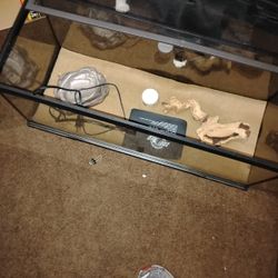 Lizard Tank