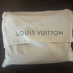 Louis Vuitton District PM