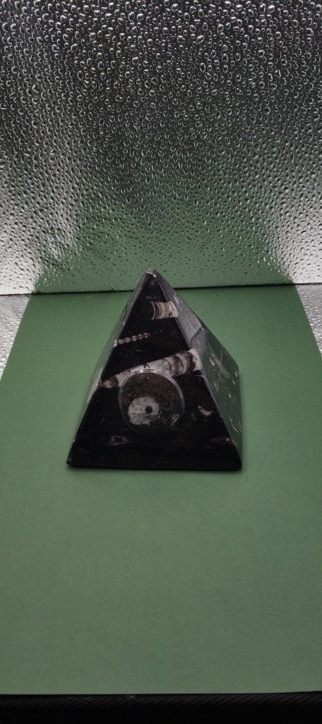 Pyramid Orthoceras With Ammonit Fossil