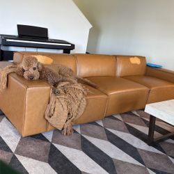 Free! 117”  Sofa W/ Ottoman