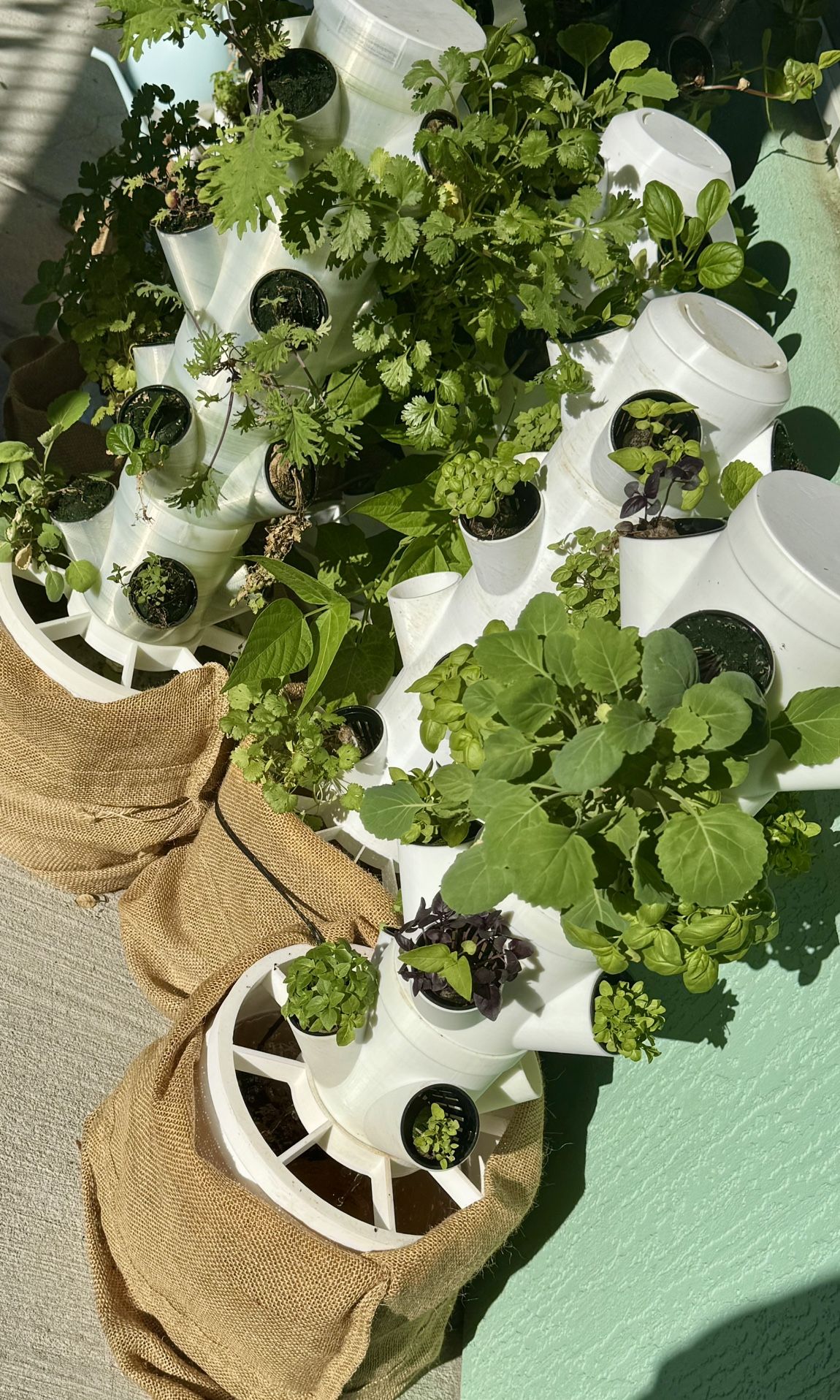 Hydro Grower Planter