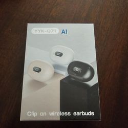 Boytond AI Translation Earbuds