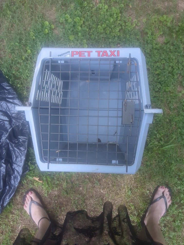 Pet Carrier