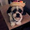 Oliver Dogge