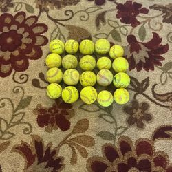 20 kitten balls used