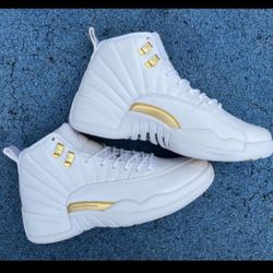Jordan Retro 12