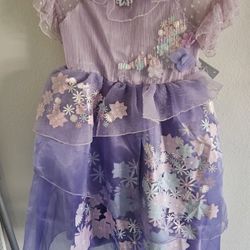 Disney Encanto Isabela Madrigal costume for children. 