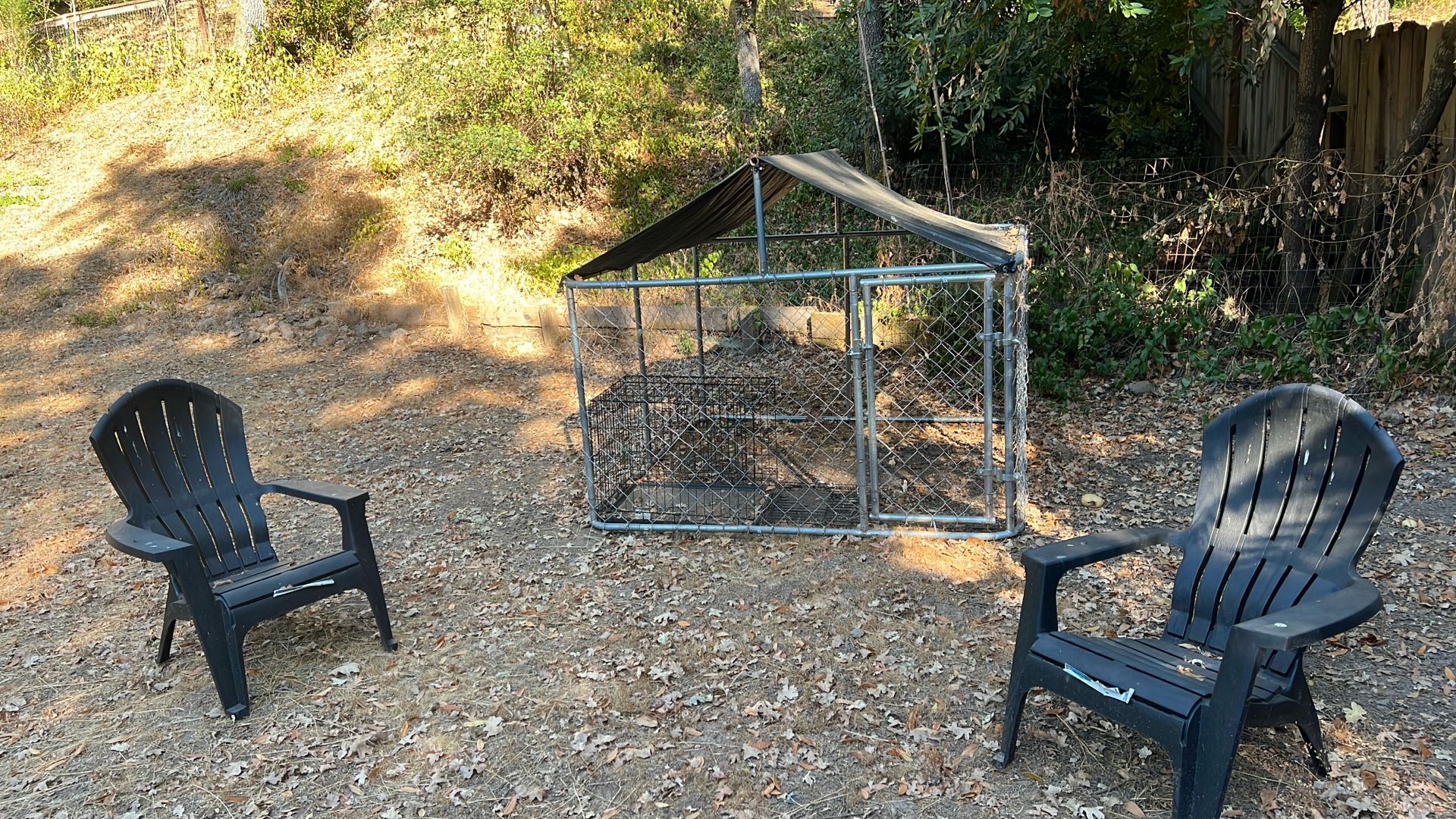 Dog Cage