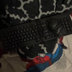 Keyboard and mouse