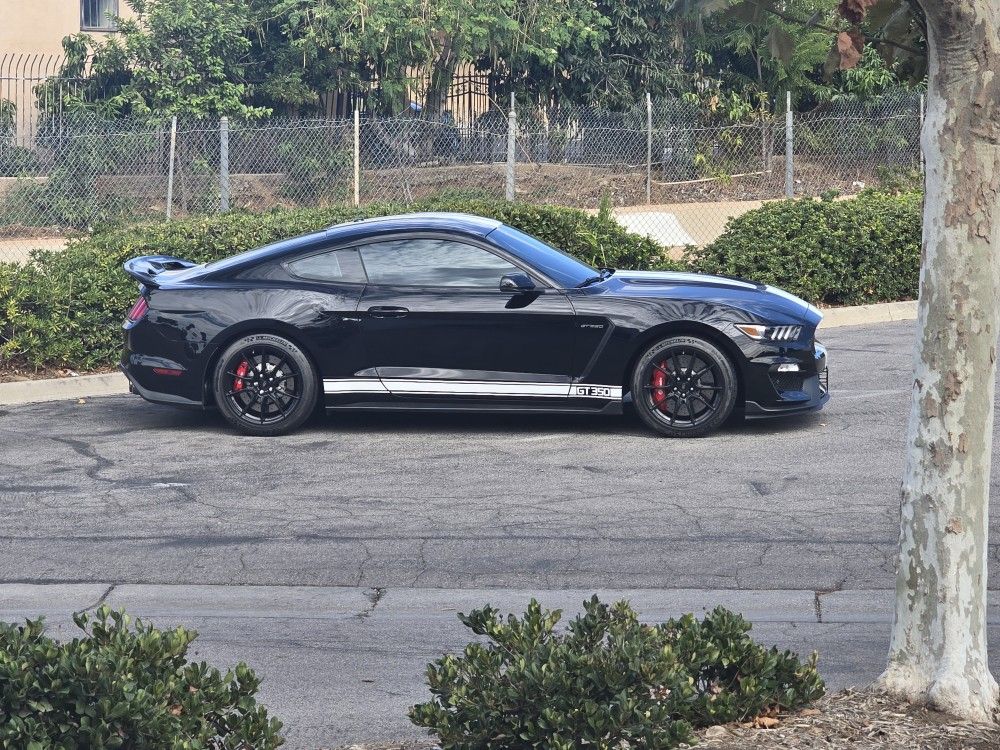 2019 Ford Shelby Gt350