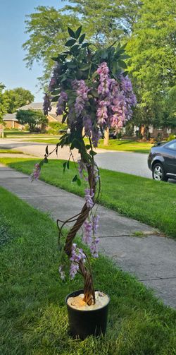 Artificial Wisteria tree - wedding, Easter, home decor