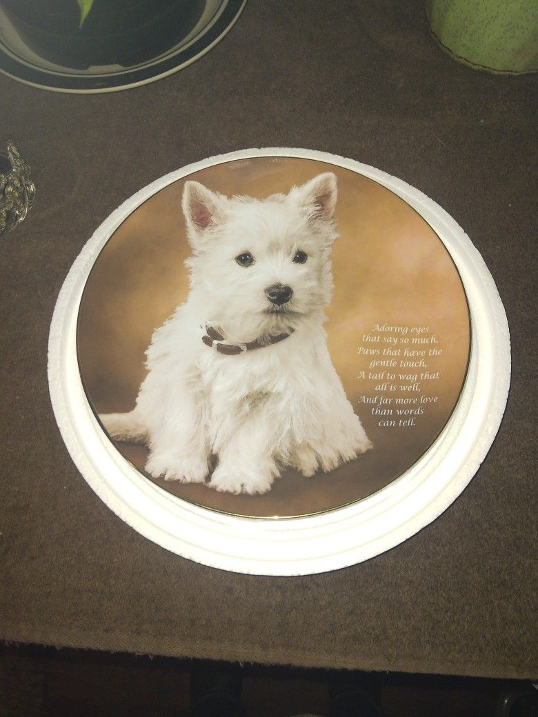 Very Cute Colletors Plate