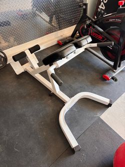 45 degree glute raise