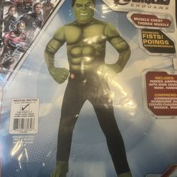Hulk Costume 