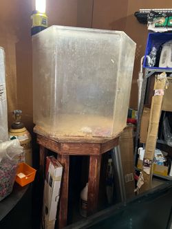 Aquarium with many extras