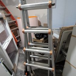 𝗟𝗜𝗧𝗧𝗟𝗘 𝗚𝗜𝗔𝗡𝗧 𝗟𝗔𝗗𝗘𝗥 𝟭𝟳 𝗳