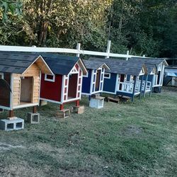 casas para SUS mascotas  nuecas
