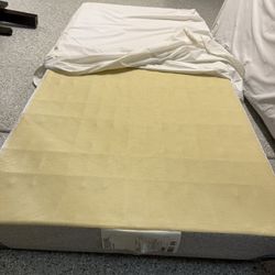 FREE Two Twin Box Springs