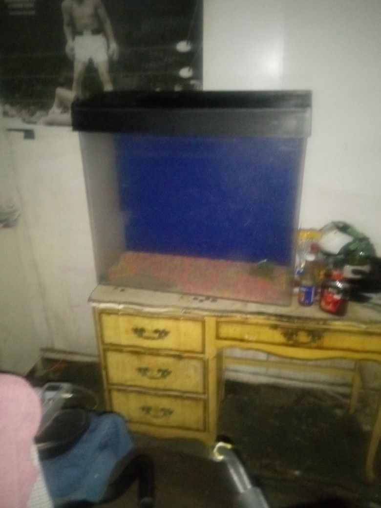 Huge Fish Aquarium 
