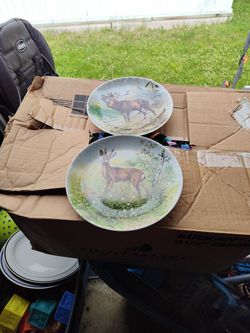 Deer & Moose Plates