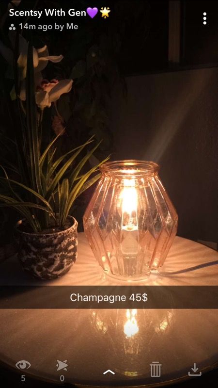 Champagne Scentsy warmer