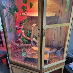 Large Custom Wood Snake/reptile Enclosure 