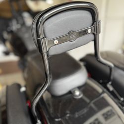 2025 Harley Davidson Softail OEM Sissy Bar