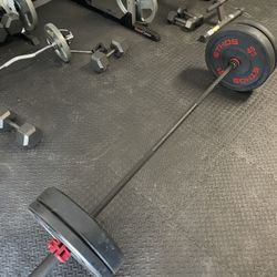 205 Lb Ethos Bumper Plate Set- Barely Used