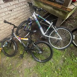 Dirt Racing Bike And Mountain Bike