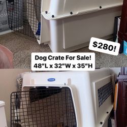 Dog Crate 
