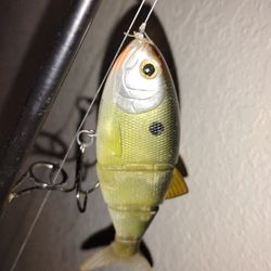 Fishing Rod Ugly Stick🎣