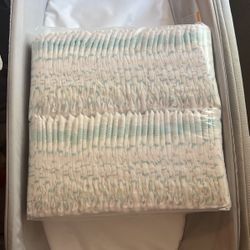 Kirkland Diaper Size 1