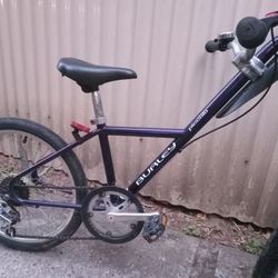 Burley Piccolo Trailer Bike